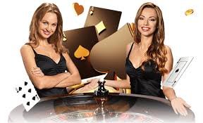 Bàn live casino với dealer phát trực tiếp tại op88b